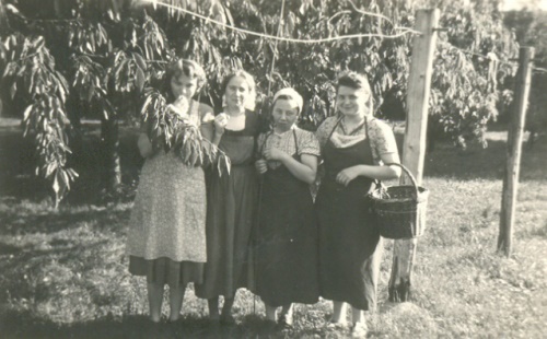 Emser Schwestern beim Kirschenpflücken